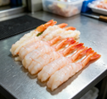 Shrimp Sushi Nigiri